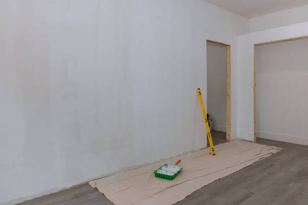 Best Basement Mold Removal  in USA